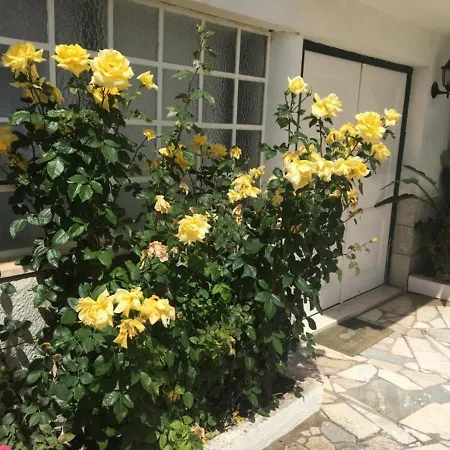 2 Bedroom House - Sol Do Murtal Parede