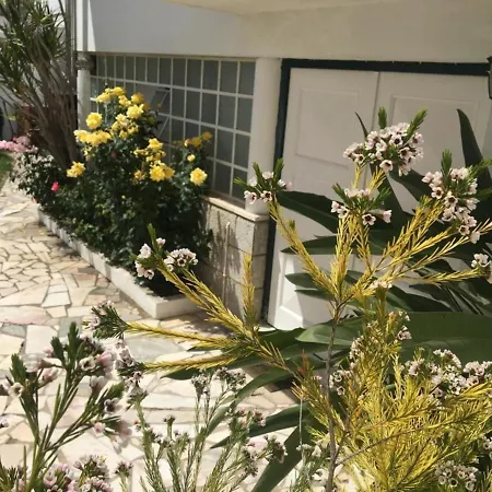 2 Bedroom House - Sol Do Murtal Parede