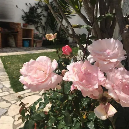 2 Bedroom House - Sol Do Murtal * Parede