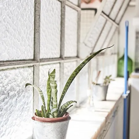 Apartamento 2 Bedroom House - Sol Do Murtal *